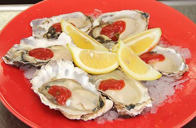 Yaquina Bay Oysters - Half Dozen in Local Wild Caught Sustainable Seafood at Ocean Bleu Seafoods