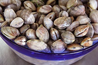 Steamer Clams in Local Wild Caught Sustainable Seafood at Ocean Bleu Seafoods