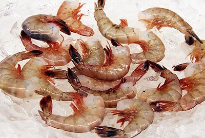 Wild-Caught Tiger Prawns in Local Wild Caught Sustainable Seafood at Ocean Bleu Seafoods